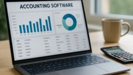 اهمیت نرم افزار حسابداری در کسب و کارها