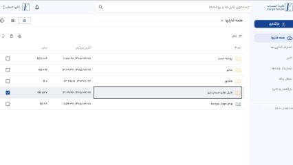کاریا درایو | فضای ابری اختصاصی برای اسناد مالی و حسابداری